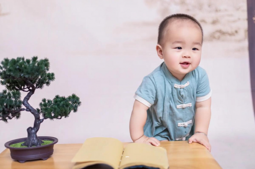 江西可爱的企鹅宝宝